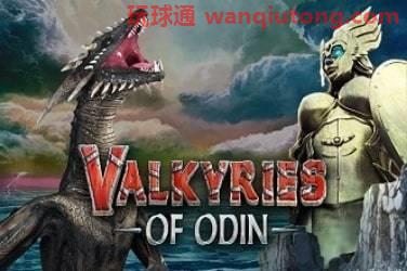 Valkyries of odin 游戏封面