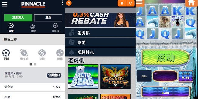 如何在移动客户端使用平博VIP编号
