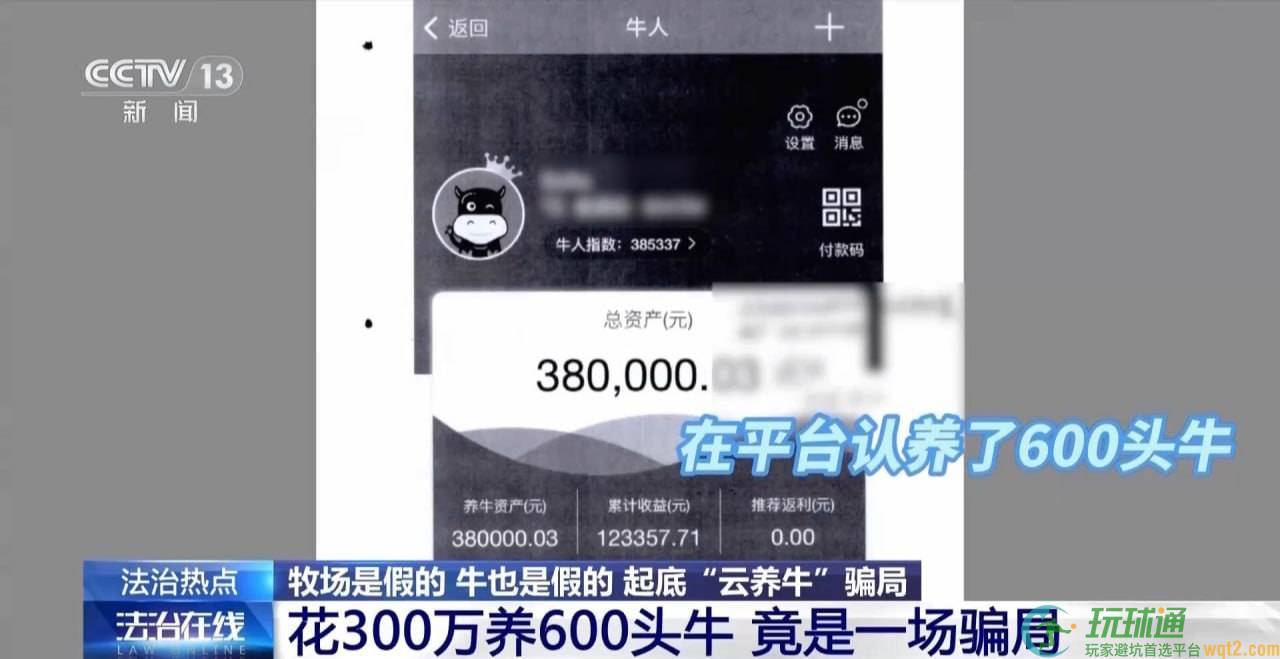 2万人被“云养牛”套牢，5.6亿养牛钱养出一场空