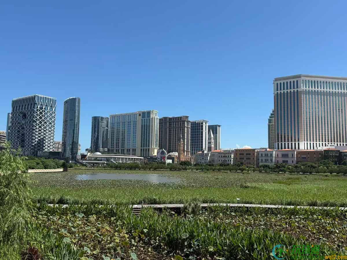 澳门BC业调查：佣金及客户回赠开支增幅跑赢行业总收益